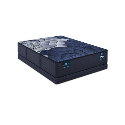 Perfect Sleeper - 14" X Prescott Hybrid Plush Mattress