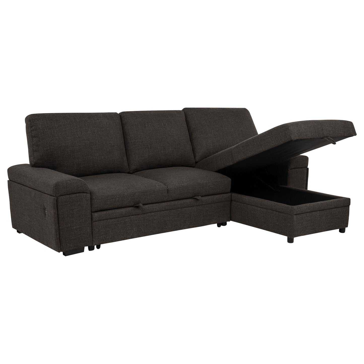 Demko Sleeper Sectional Sofa with Speaker and Storage Chaise Brown