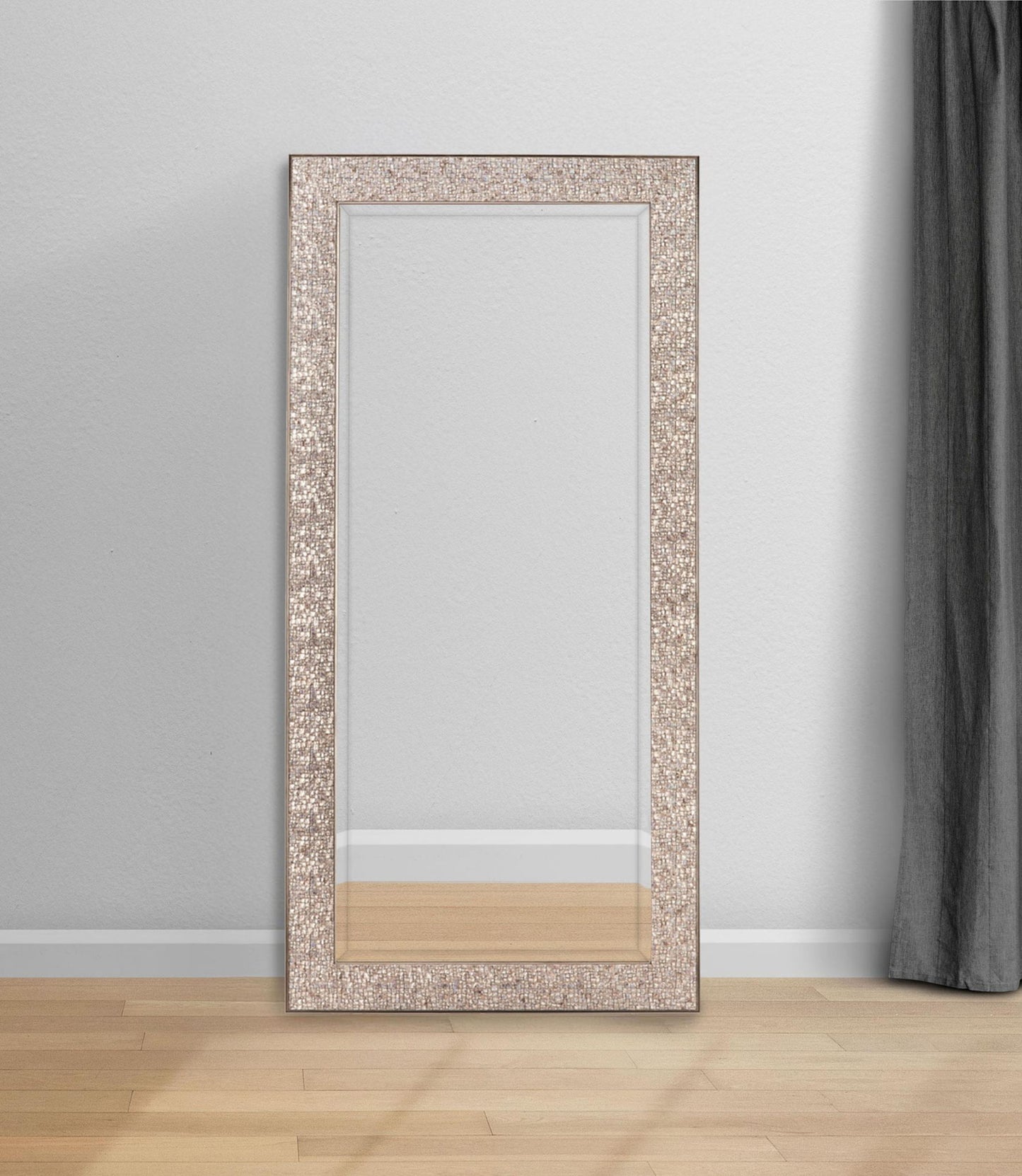 Rollins 32 x 66 Inch Rectangular Floor Mirror Silver