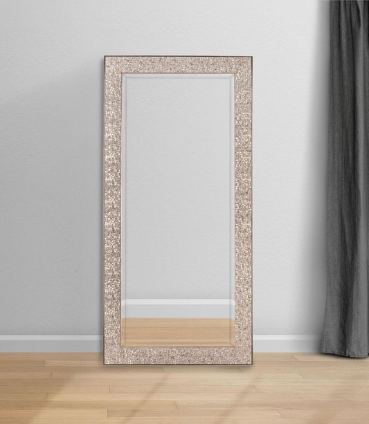 Rollins 32 x 66 Inch Rectangular Floor Mirror Silver